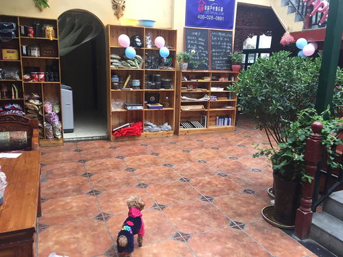 拉萨精品客栈招跨年义工啦