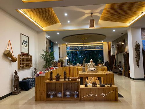 实拍西双版纳300元一晚的精品客栈,游客 这在江浙沪至少1000元